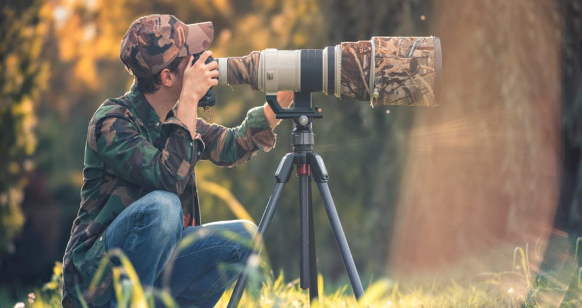 10 Tips For Improving Your Wildlife Photography