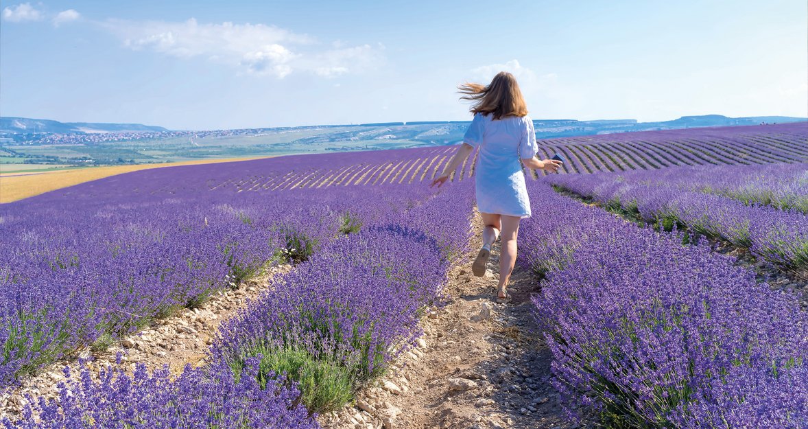 Lavender Field Photoshoot Ideas: From Romantic to Playful
