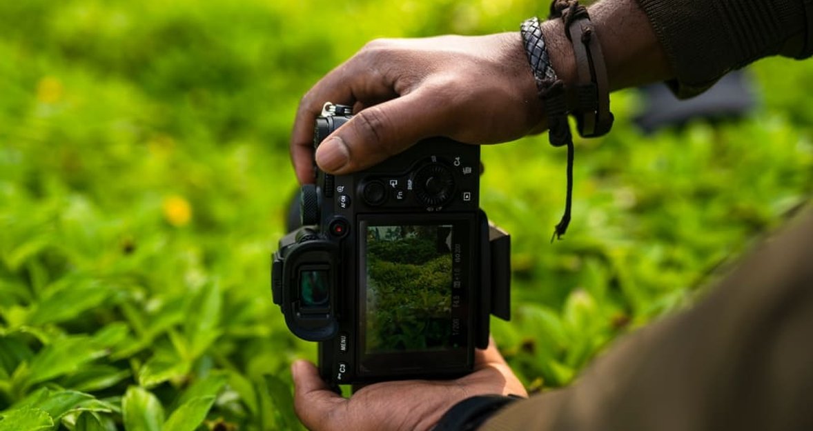 How To Make Money With Nature Photography: 3 Ways