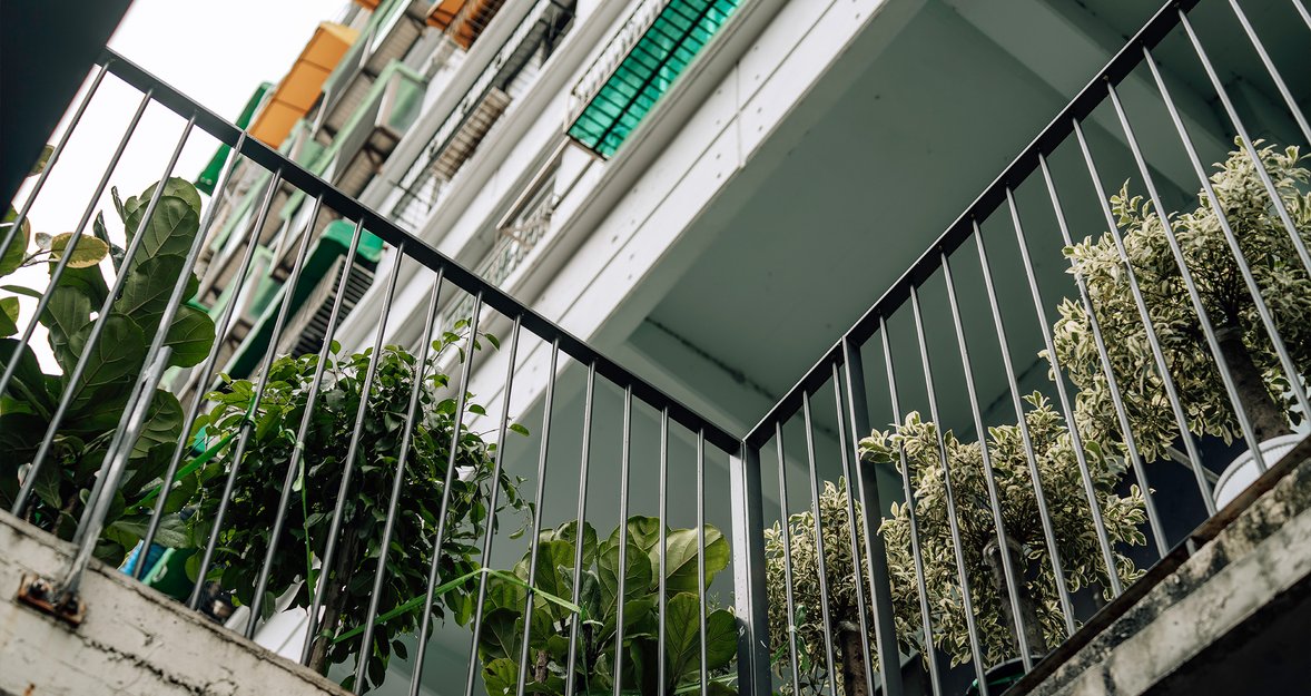 Urban Nature Photography: Find the Unexpected Beauty in Your City