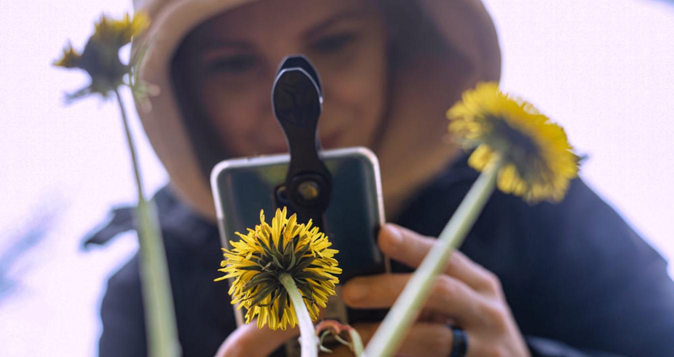 iPhone Macro Photography: How To Make Close-Up Shots