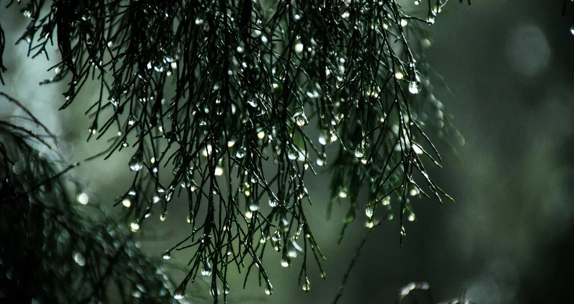 如何掌握雨天摄影的艺术