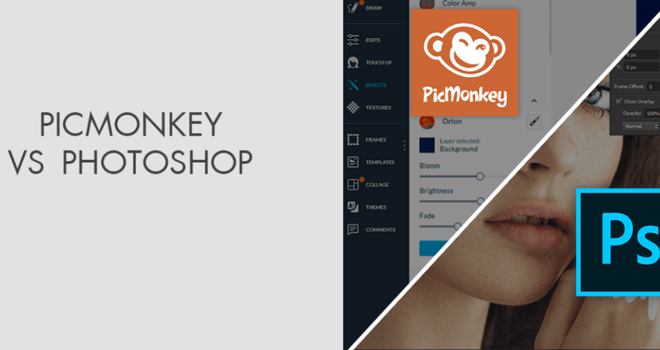 PicMonkey vs Photoshop: A Battle of Features and Versatility