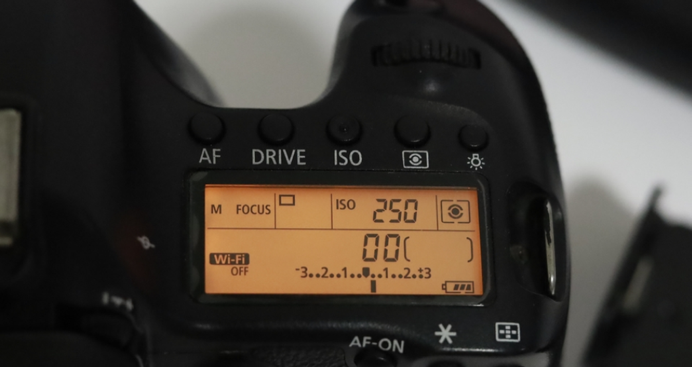 What Is ISO In Photography: Detailed Explanation With Examples