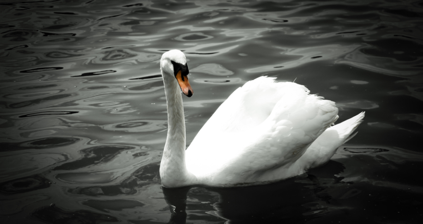 What Is Vignetting in Photography: Understanding Its Effects