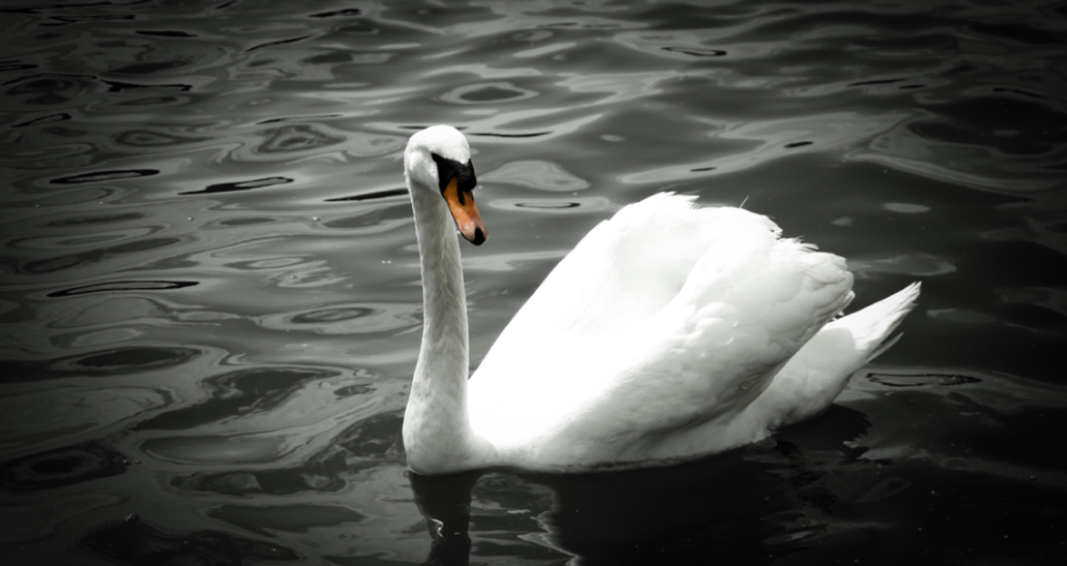 What Is Vignetting in Photography: Understanding Its Effects