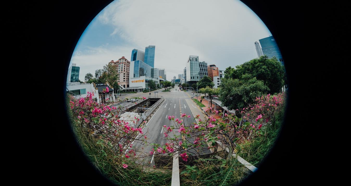 Tips for Mastering the Fisheye Lens