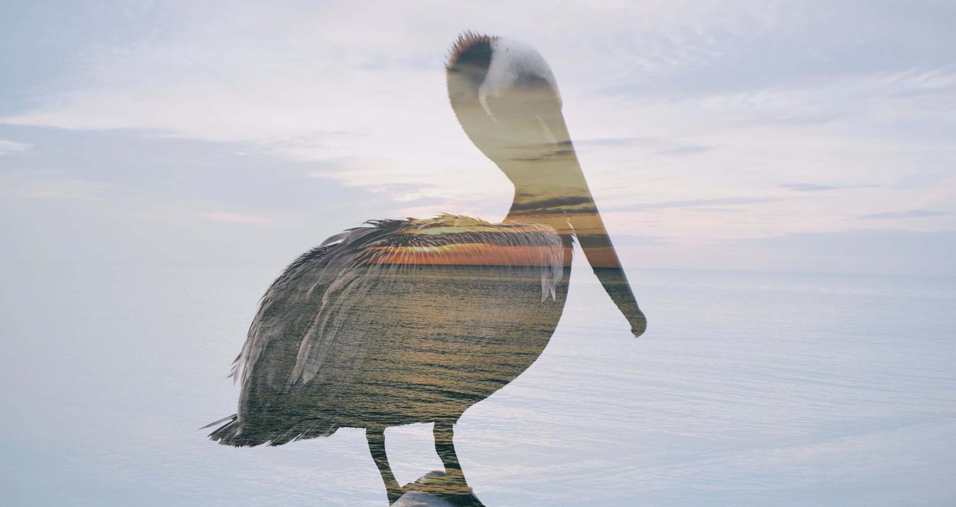 Double Exposure Photography: Combine Creativity and Tech Skills