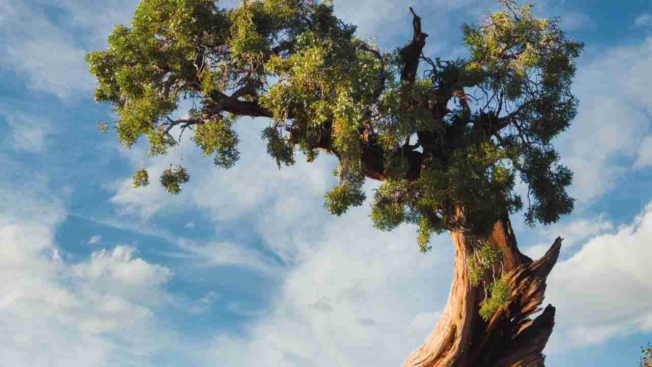 Perfect composition by cropping(18)