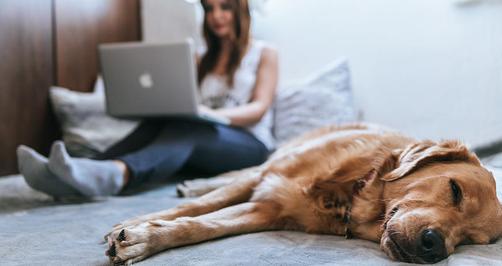 Batch Processing in Photolemur(4)