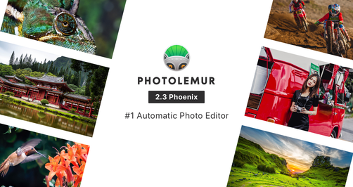 Batch Processing in Photolemur(8)