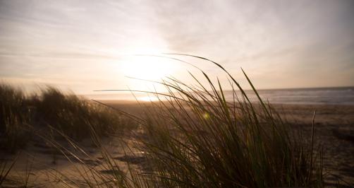 Batch Processing in Photolemur(7)