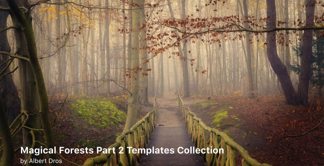 Complete Magical Forests Bundle is a photo enhancement asset for Luminar(40)