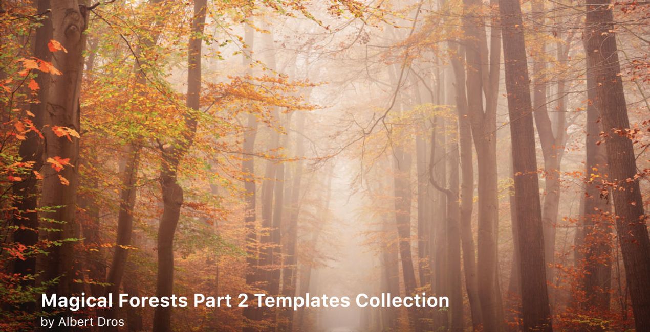 Complete Magical Forests Bundle is a photo enhancement asset for Luminar(42)