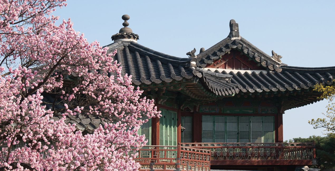 Seoul in Bloom Presets(41)