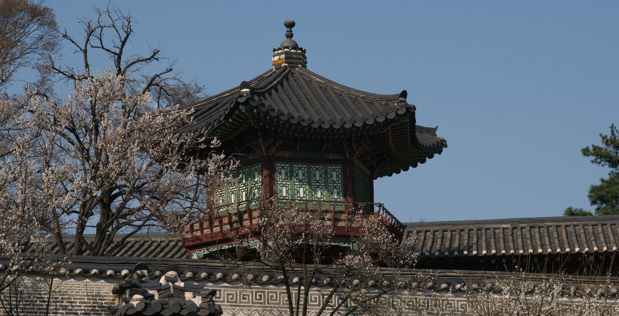 Seoul in Bloom Presets(43)
