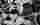 Riot Walls  Backgrounds Backgrounds for your photographs.(52)