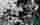 Riot Walls  Backgrounds Backgrounds for your photographs.(53)