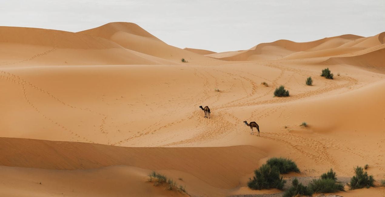 Désert du Sahara(42)