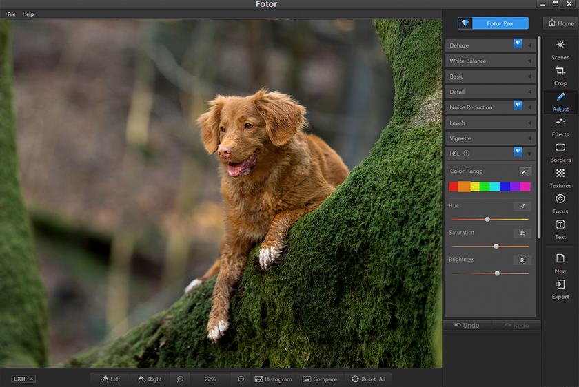  Evoto Replacements That Could Change Your Workflow | Aperty Blog(5)