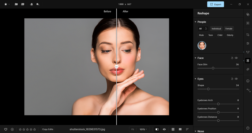 Changing body or face sizes in Aperty  | Aperty Blog