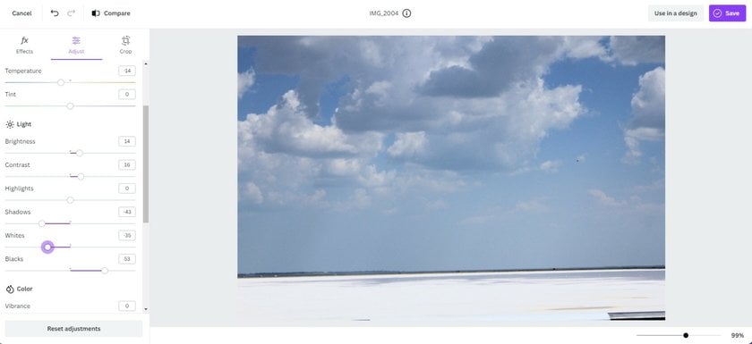 Screenshot of Canva Software | Skylum Blog