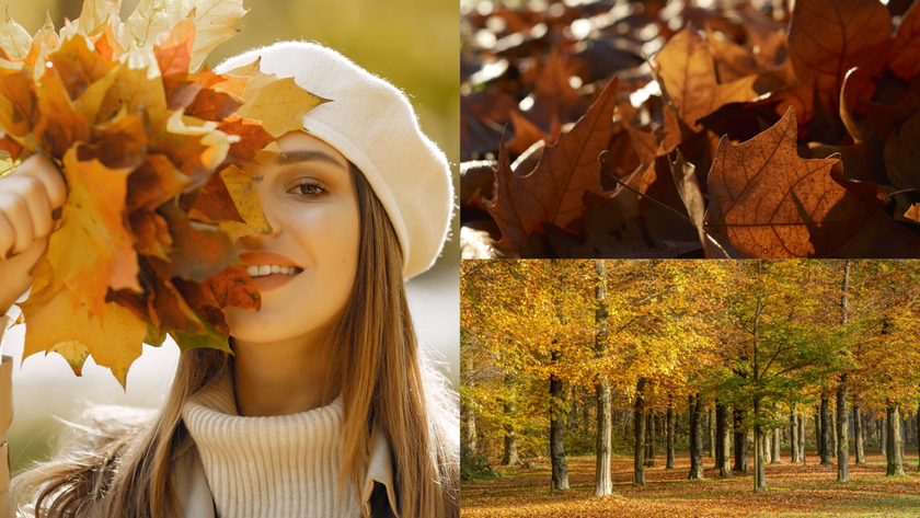 Collage portrait of a girl autumn park and leaves | Aperty Blog