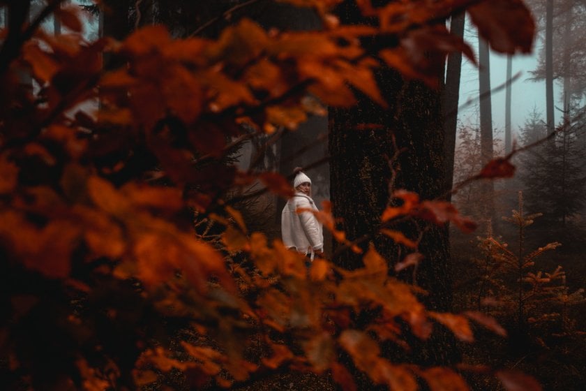 A girl in a foggy autumn forest | Skylum Blog