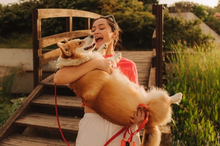 A girl holding a corgi | Aperty Blog