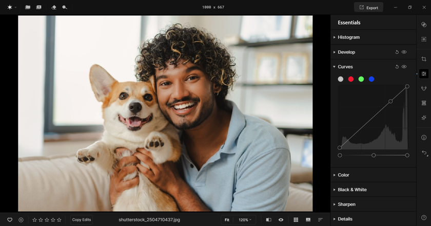 Curves in Aperty | Aperty Blog