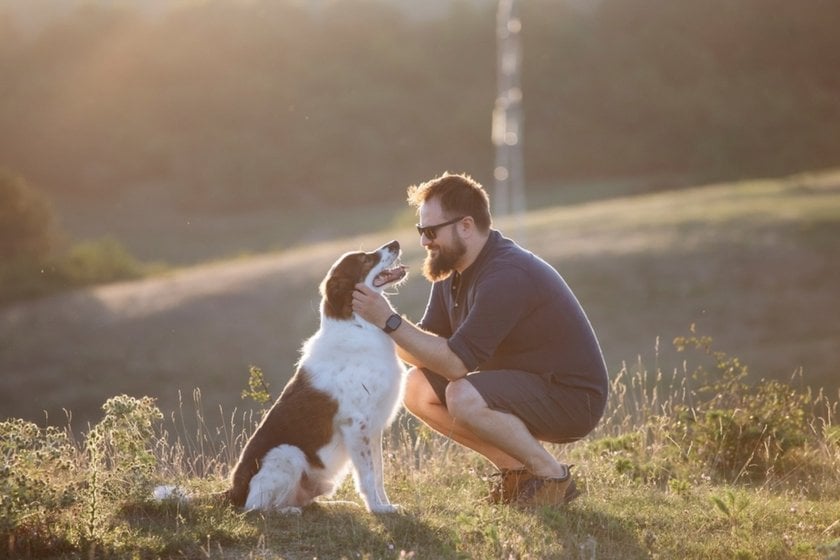 A guy pets a dog | Aperty Blog