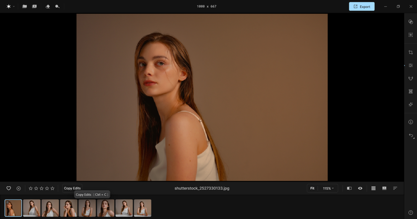 Copy edit in Aperty | Aperty Blog