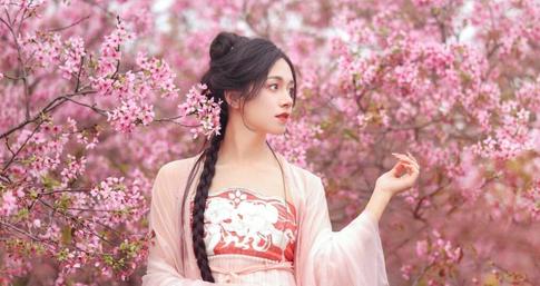 Cherry blossom portraits: Embracing the beauty of Korean springtime