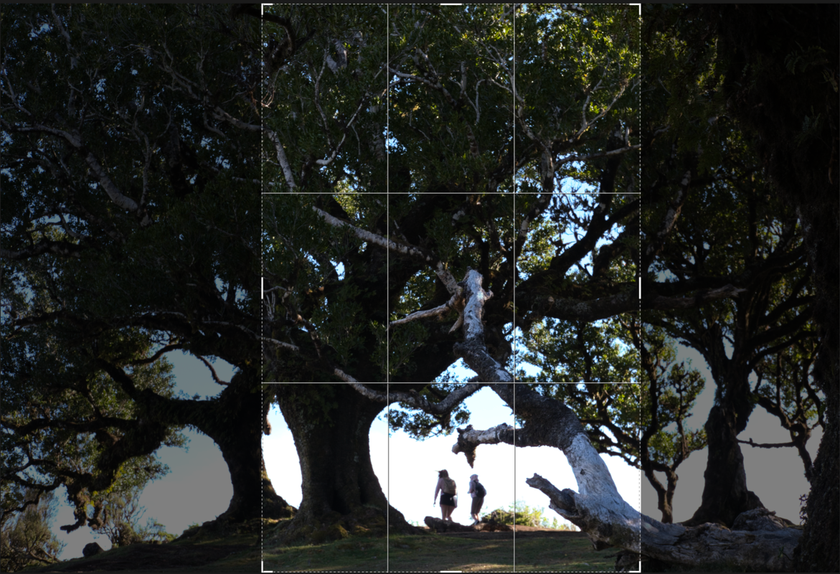 How To Crop Portraits Without Losing The Main Focus | Aperty How to(10)