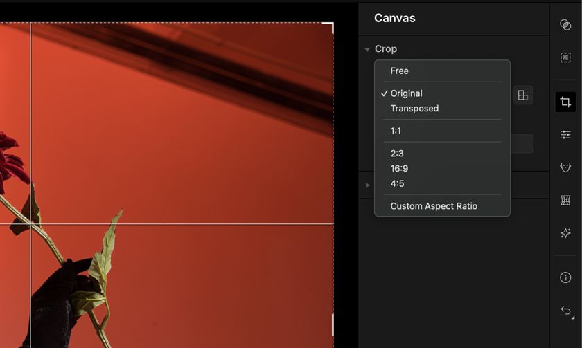 How To Crop Portraits Without Losing The Main Focus | Aperty How to(7)