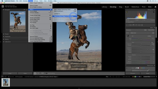 Using Luminar as a re-editable Smart Filter in Lightroom and Photoshop(19)