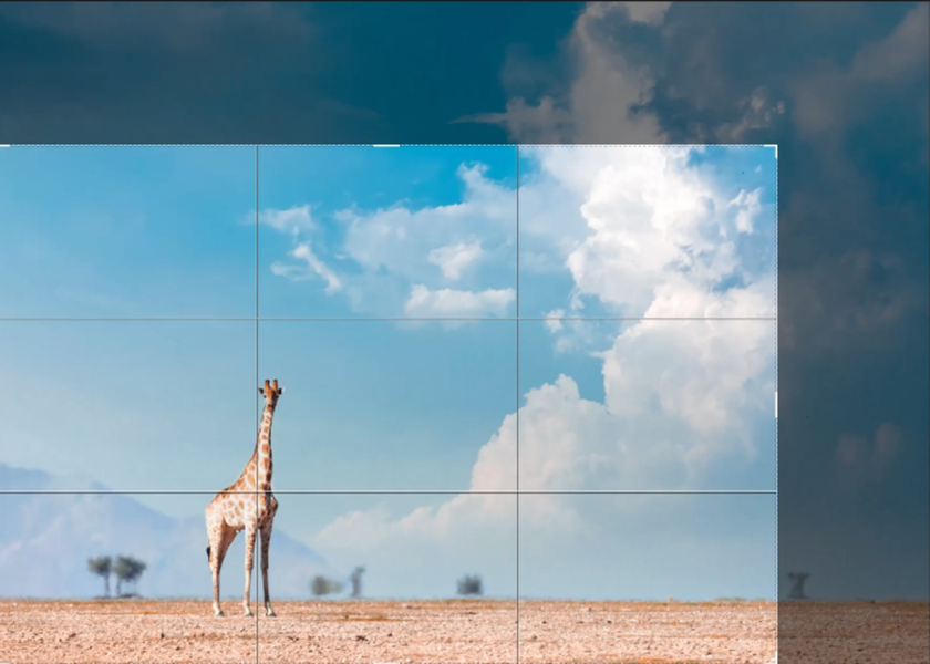 Cropping a photo of a giraffe | Skylum How-to