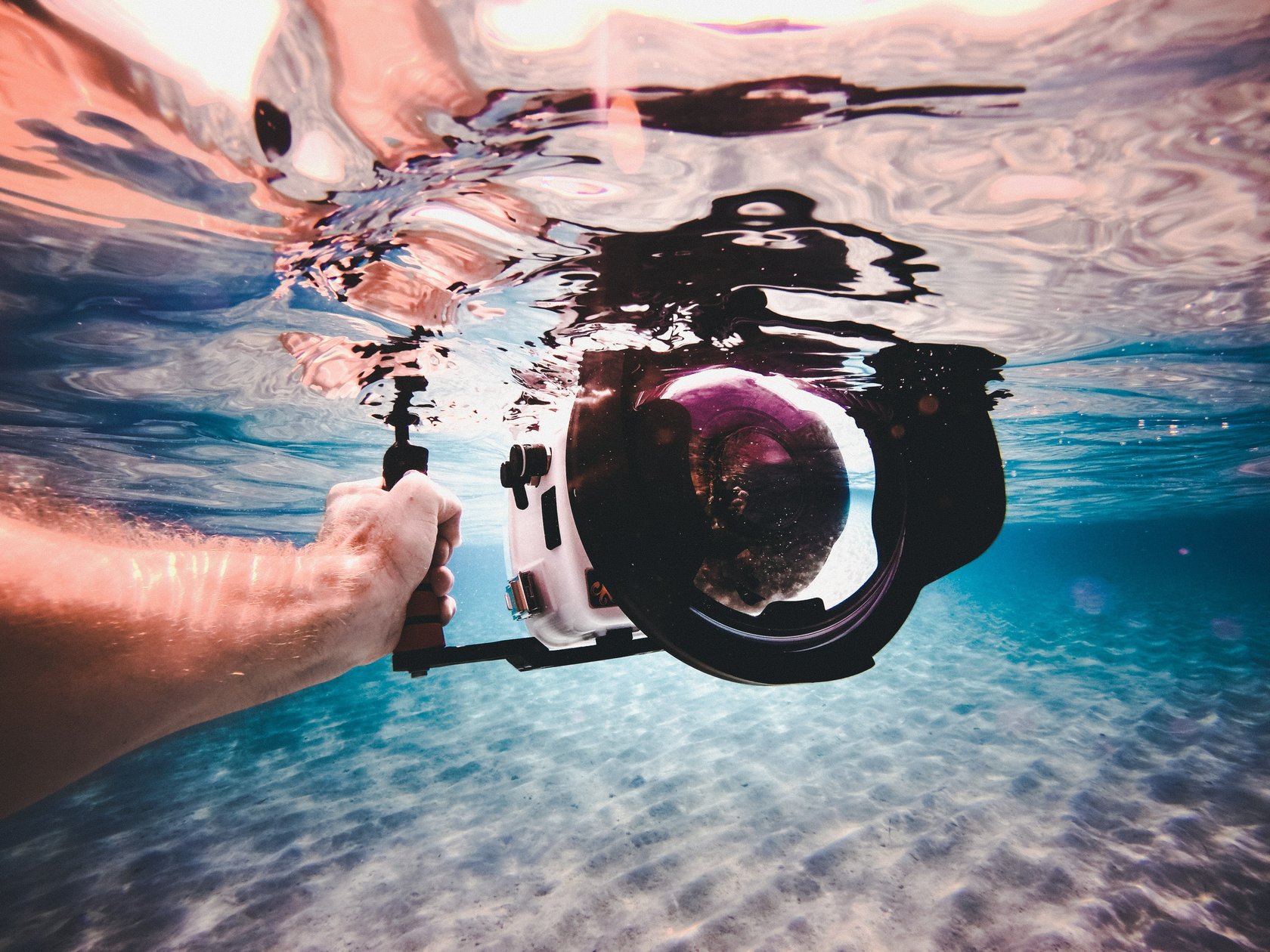 Beginner's Guide to Underwater Photography: 5 Steps to Get Started