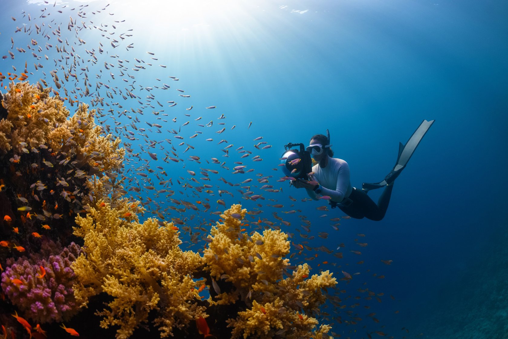 Underwater Photography: A Beginner's Guide to Capturing the Beauty Beneath  the Surface