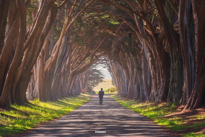 Midday Shooting: Useful Tips If You Can't Shoot During the Golden Hour | Skylum Blog(3)