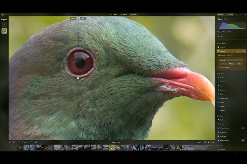 Lightroom Alternative: Best Alternatives to Adobe Lightroom | Skylum Blog(3)