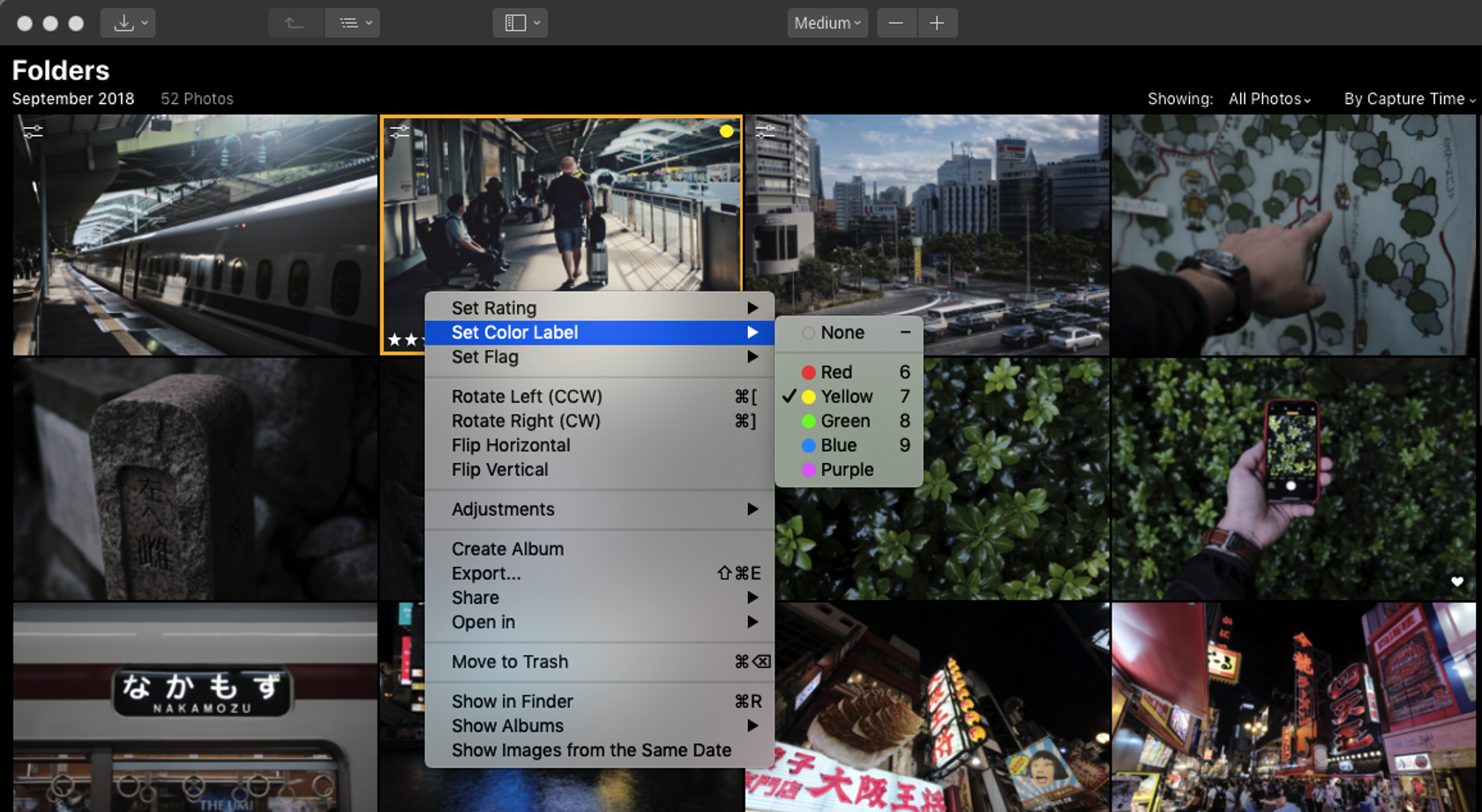 Luminar with Libraries Lets You Label and Rate Your Photos | Skylum Blog(6)