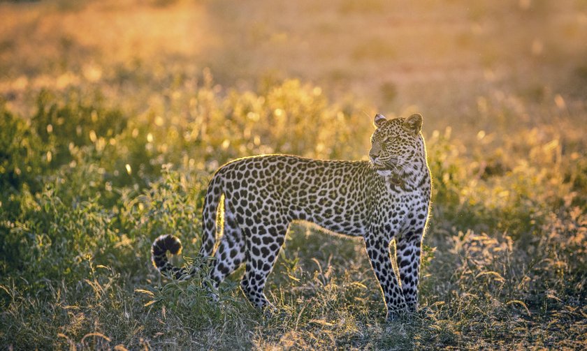 Luminar User Spotlight: Kevin Dooley Image5