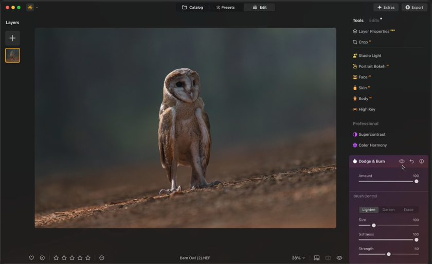 Editing photos in Luminar Neo | Skylum Blog