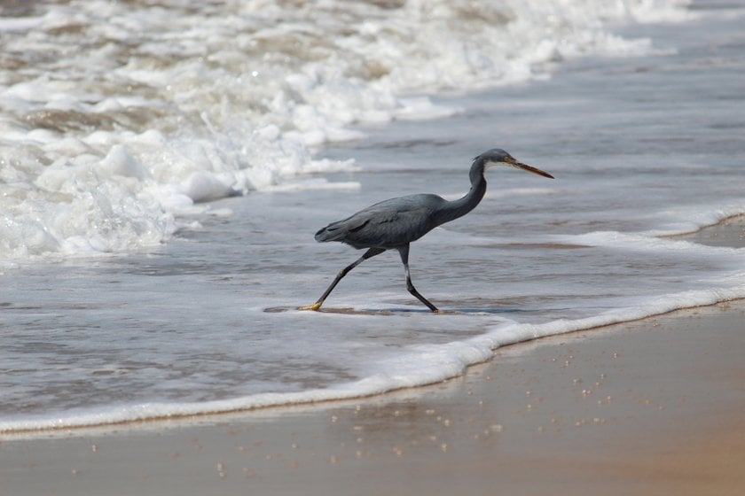 Beach Photography Tips: Grab this Guide and Take Great Shots | Skylum Blog(6)