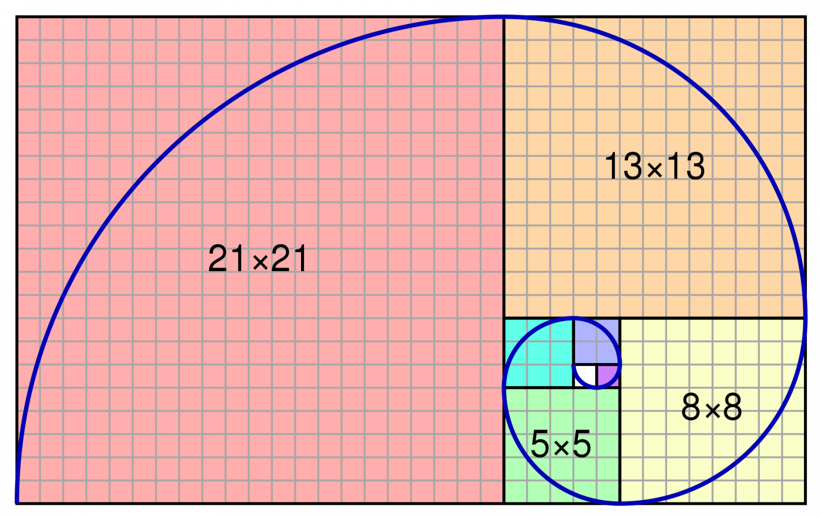 golden ratio in nature human body