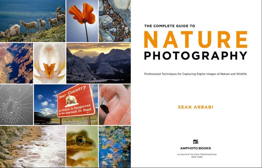 Best Photo Books 2024: Online Photo Book Makers and Books for Inspiration | Skylum Blog(20)