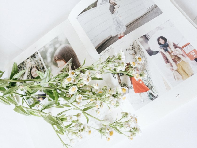 Best Photo Books 2024: Online Photo Book Makers and Books for Inspiration | Skylum Blog(26)