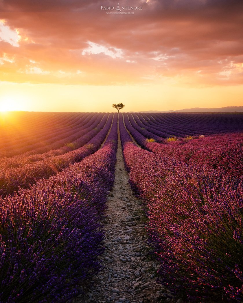 Luminar User-Spotlight: Fabio Antenore(11)