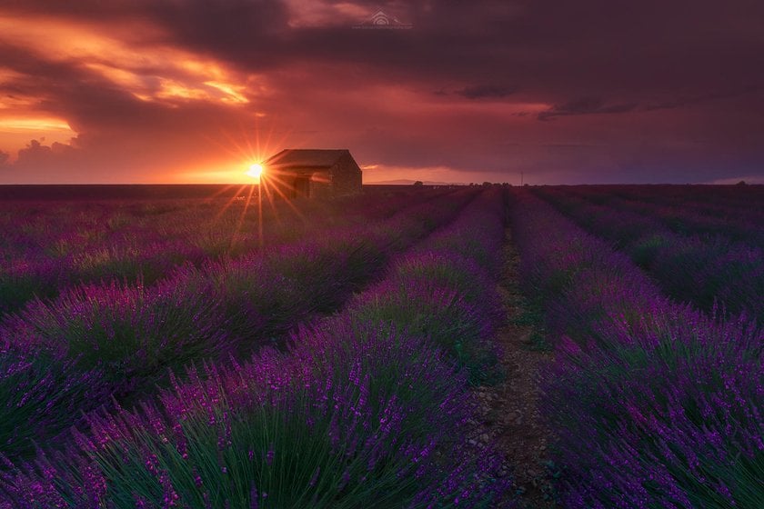 Best photography spots in Valensole by Skylum Ambassador Jabi Sanz | Skylum Blog(3)